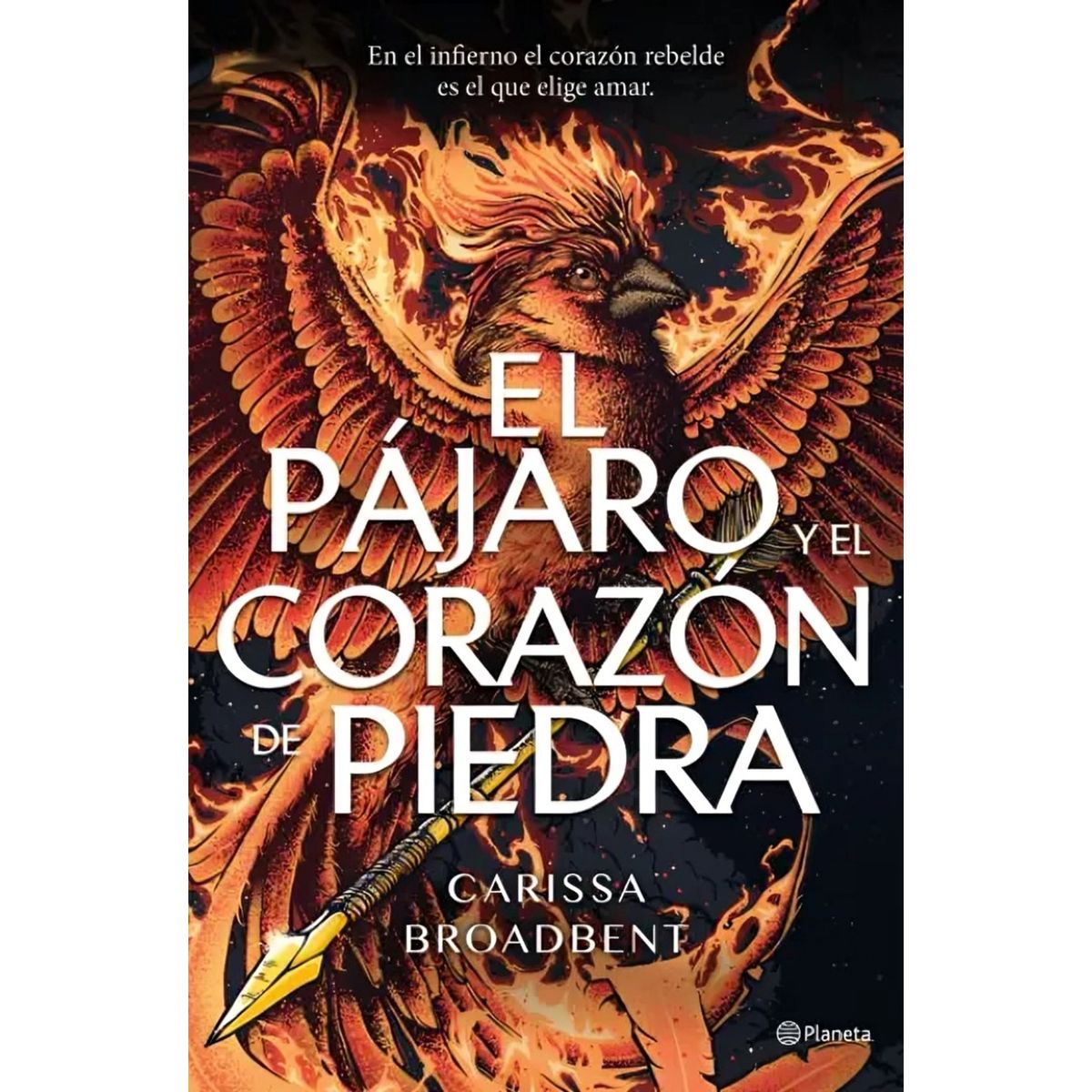 TOP10BOOKS - LIBRO El Pájaro Y El Corazón De Piedra - El Pájaro Y El Corazón De Piedra