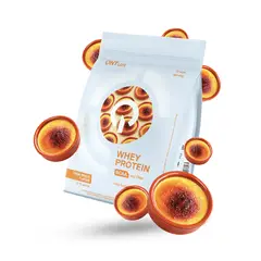 QNT - Proteina En Polvo - Whey Protein 500 Gr