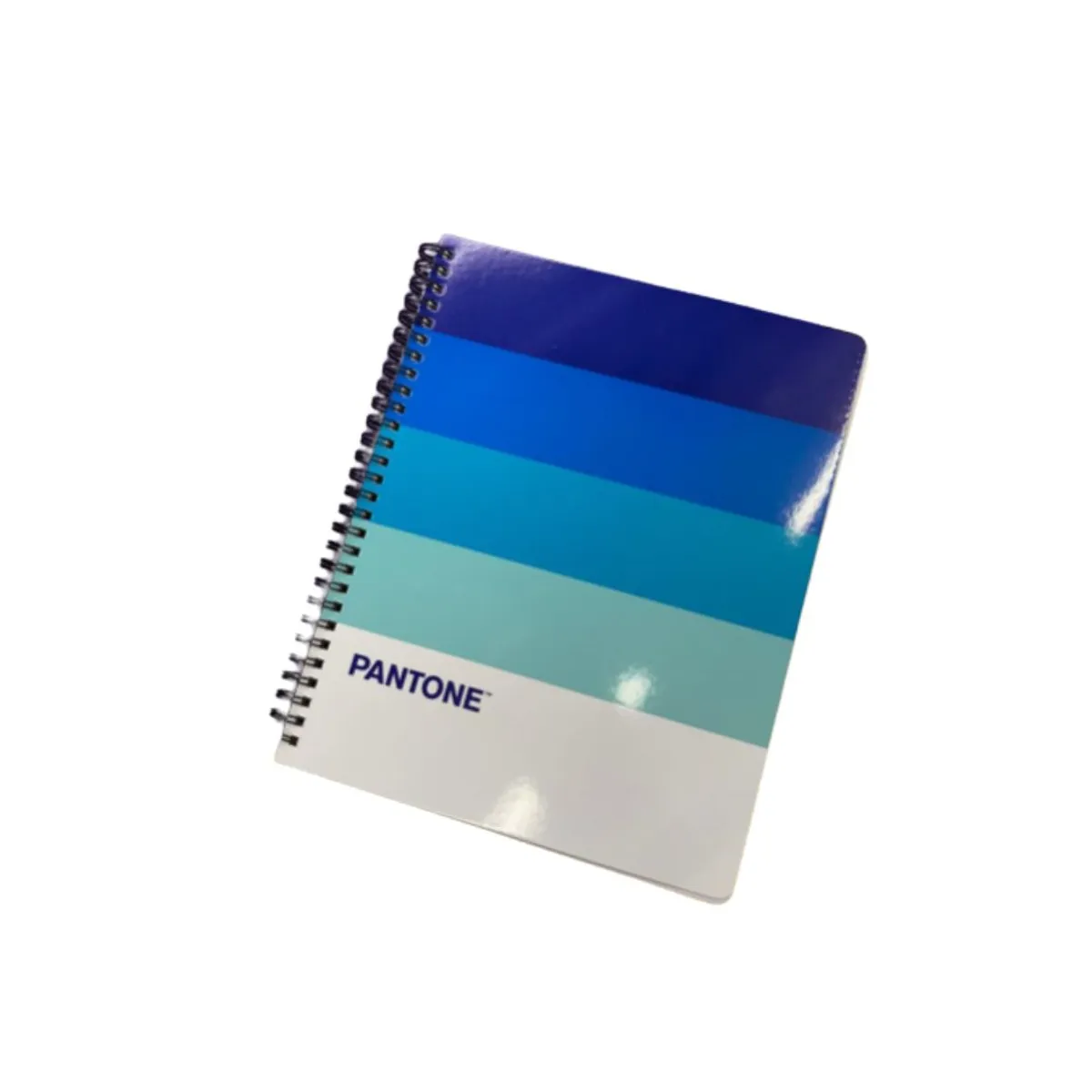 GENERICO - Pack 10 Cuaderno Universitario Pantone Pantonera 7mm