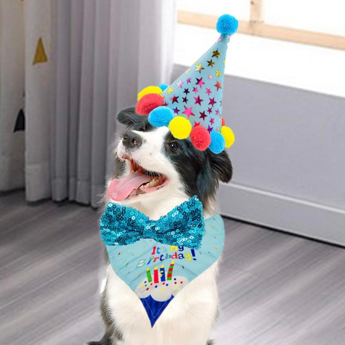 GENERICO - Set De Cumpleaños Mascota Fiesta Decorativo Perro Gato