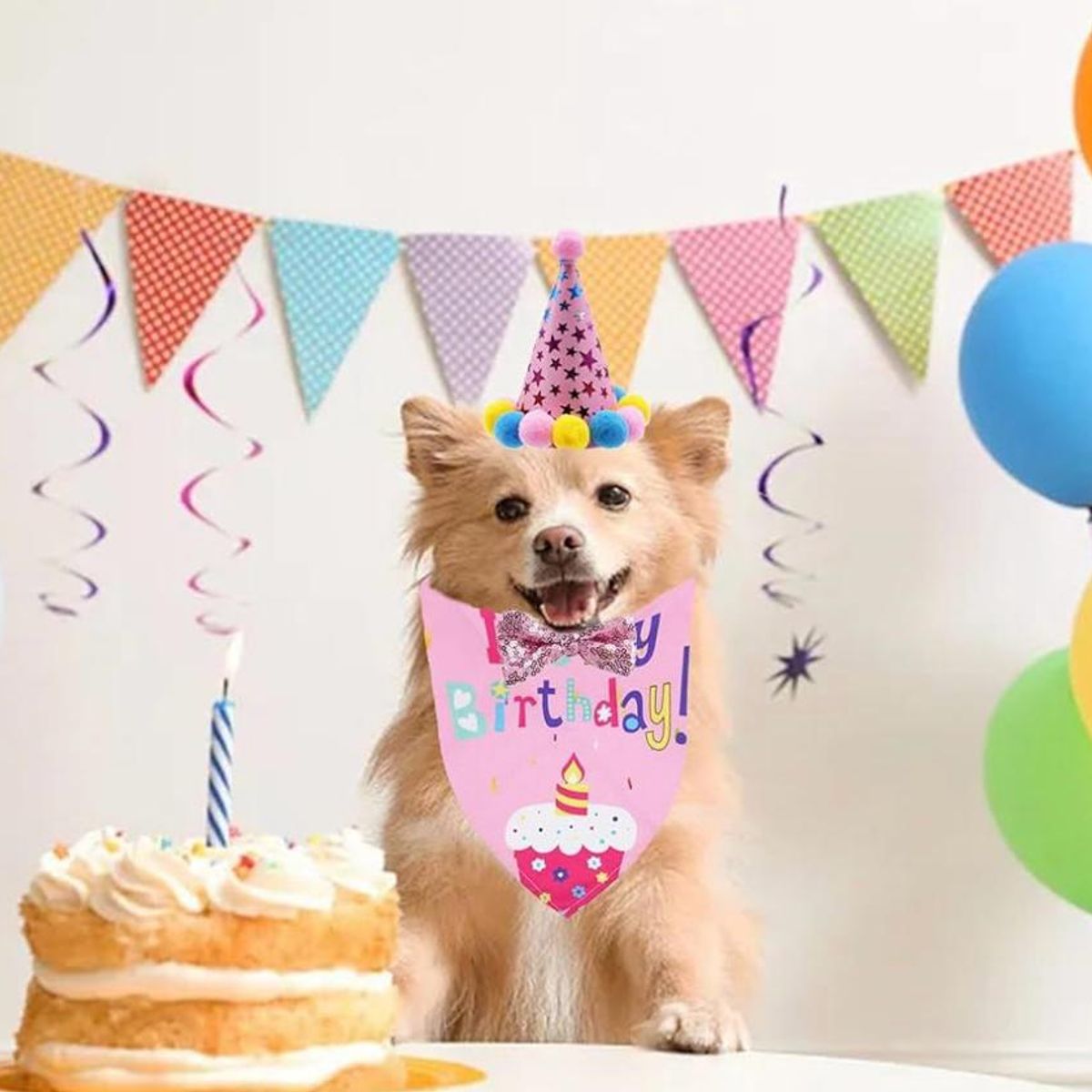 GENERICO - Set De Cumpleaños Para Mascota Fiesta Decorativo Perro Gato
