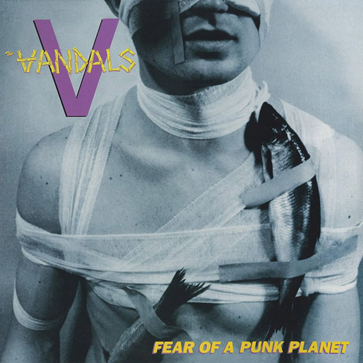 GENERICO - The Vandals - Fear Of A Punk Planet - Vinilo Simple