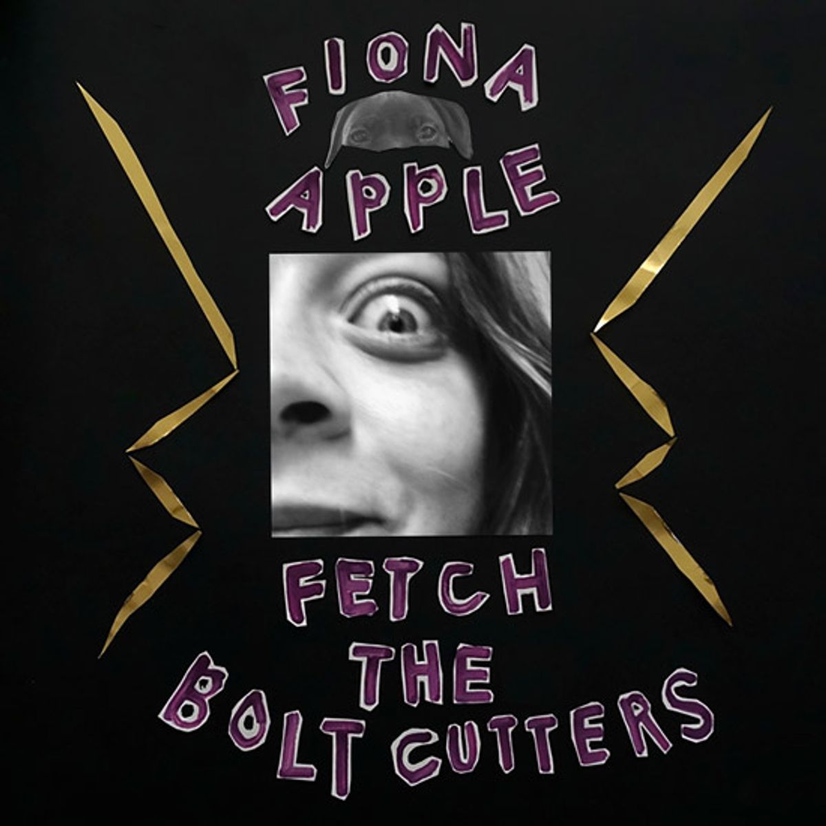 EPIC - Fiona Apple - Fetch The Bolt Cutters - Vinilo Simple