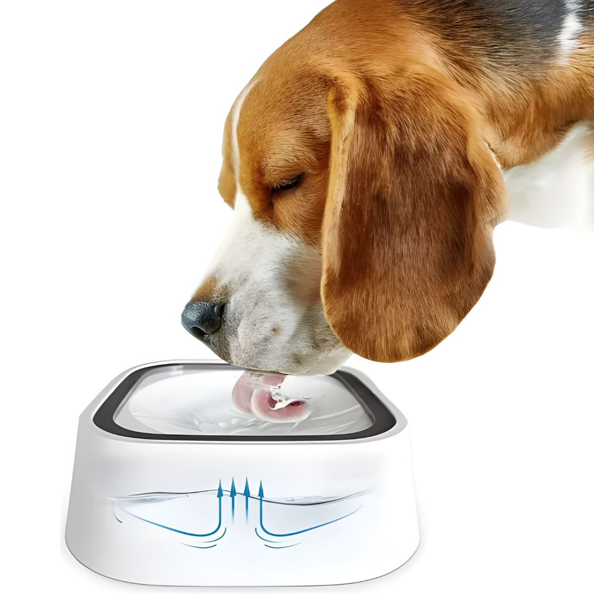 GENERICO - Plato Bebedero Antideslizante Para Perros Bowl Antiderrame
