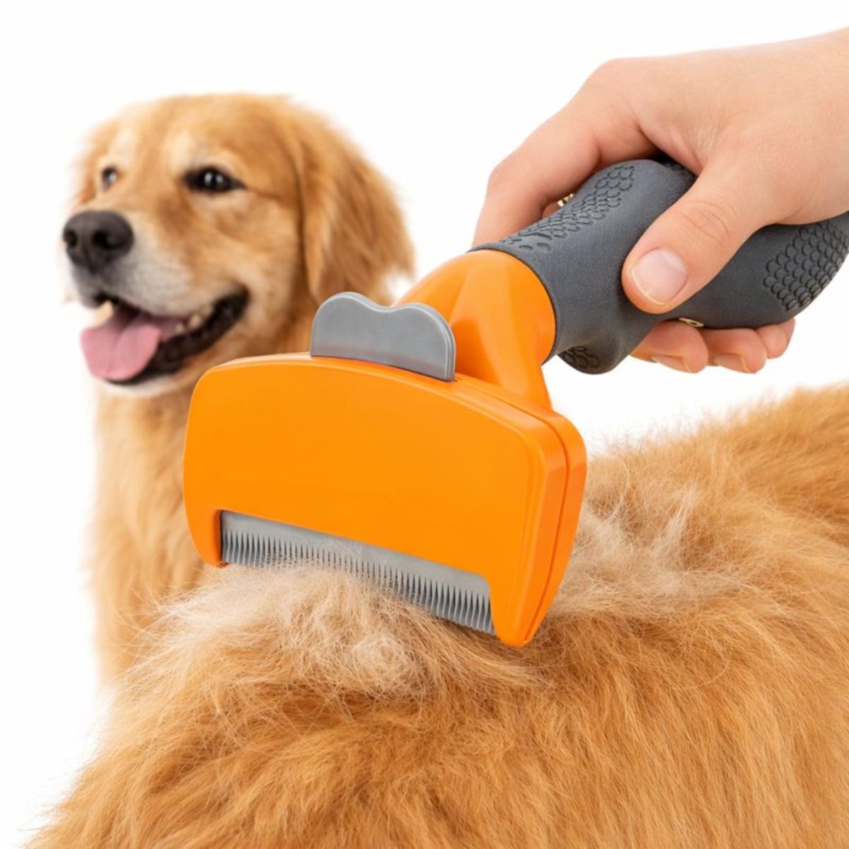 GENERICO - Cepillo Deslanador Para Perros Pelo Largo Talla M