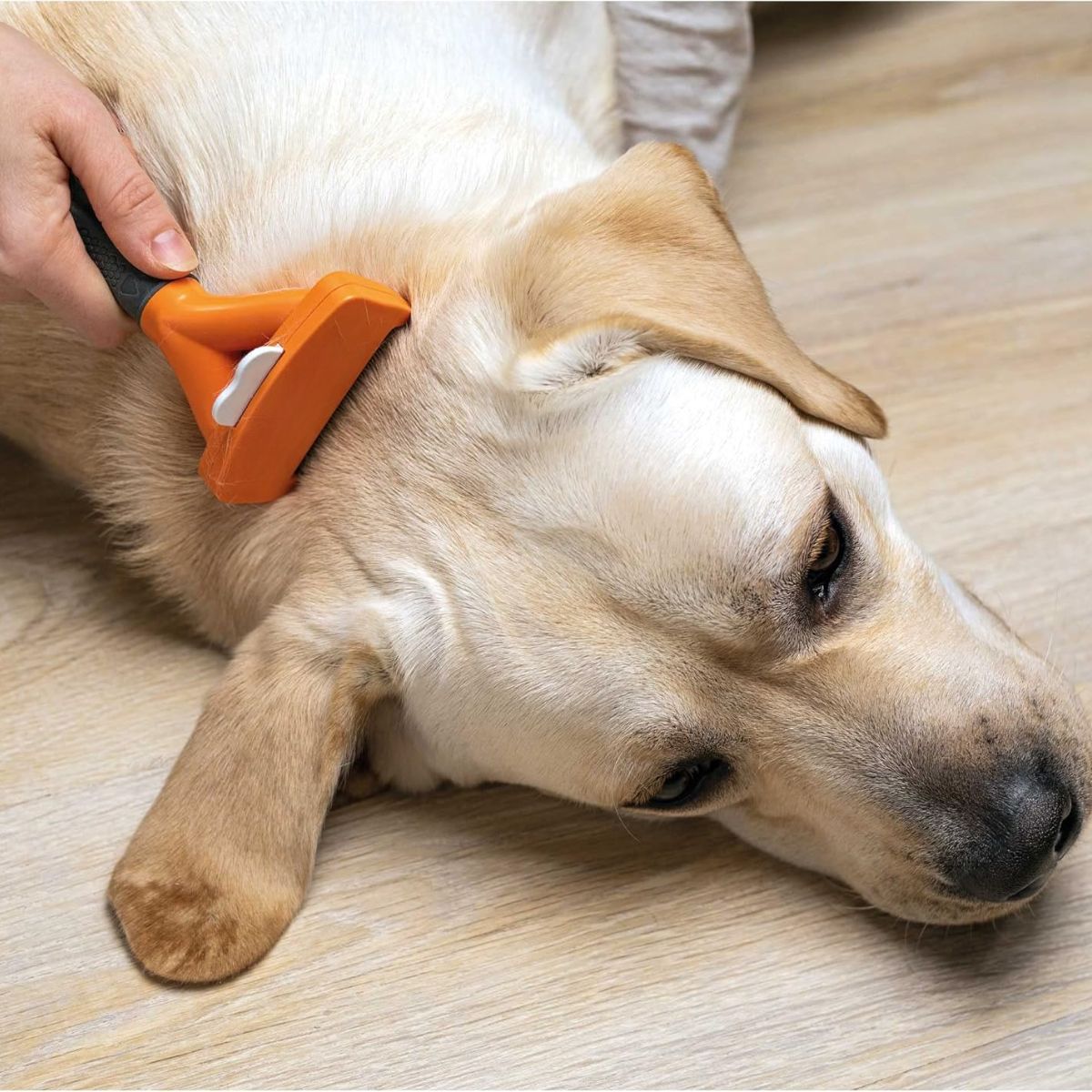 GENERICO - Cepillo Deslanador Para Perros Pelo Largo Talla M