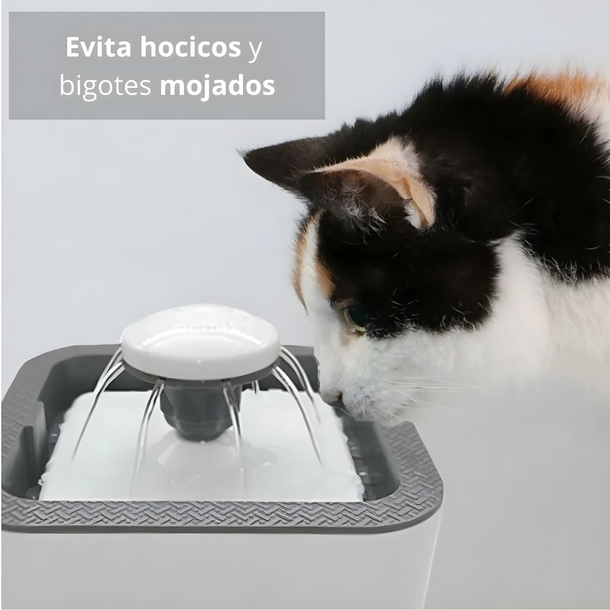 GENERICO - Fuente De Agua Mascotas Perros Gatos 2.5 Litros Automática