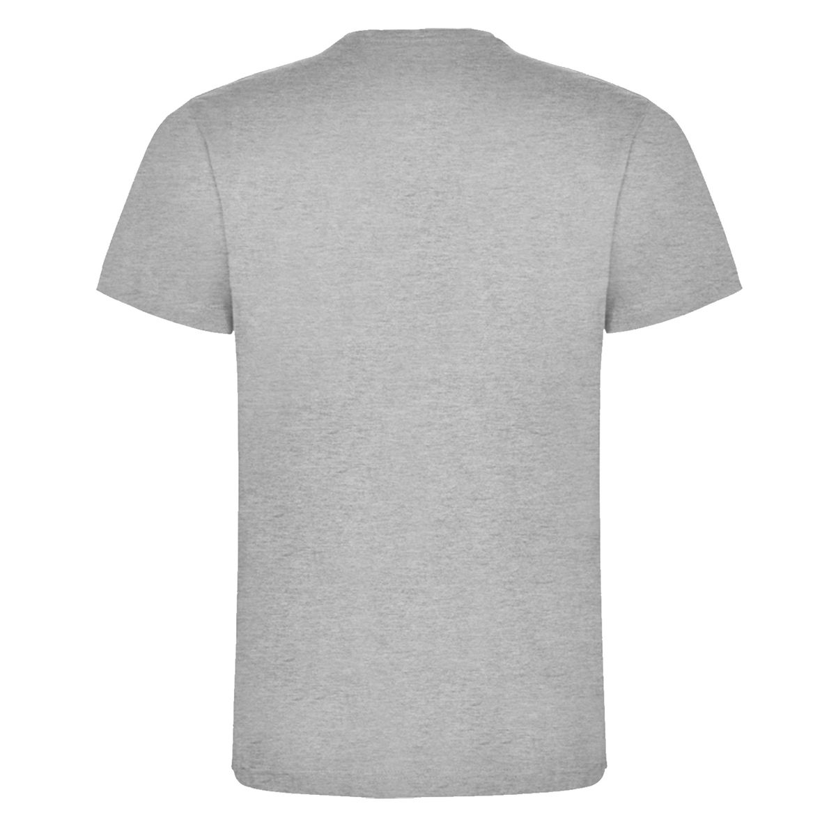 ANDESLAND OUTDOOR APPAREL - Polera Algodón Manga Corta Velox Pro Hombre