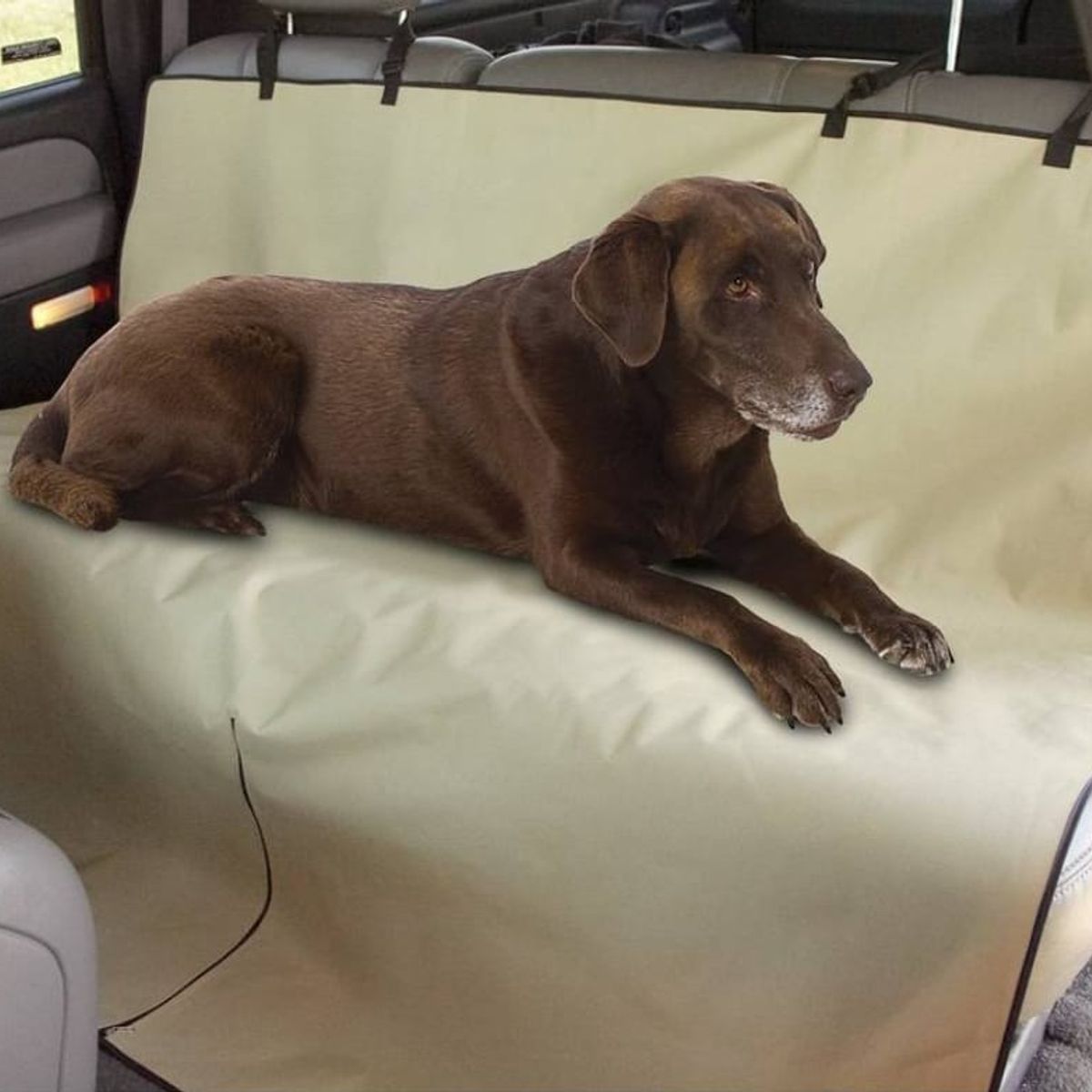 MOVI - Funda Cubre asiento para Mascota