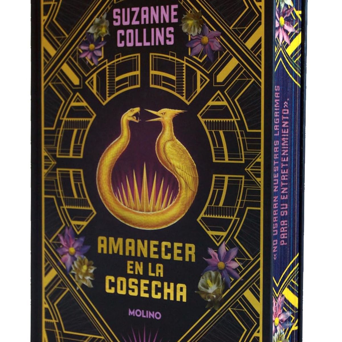 MOLINO - Amanecer en la cosecha - Suzanne Collins - Cantos Pintados