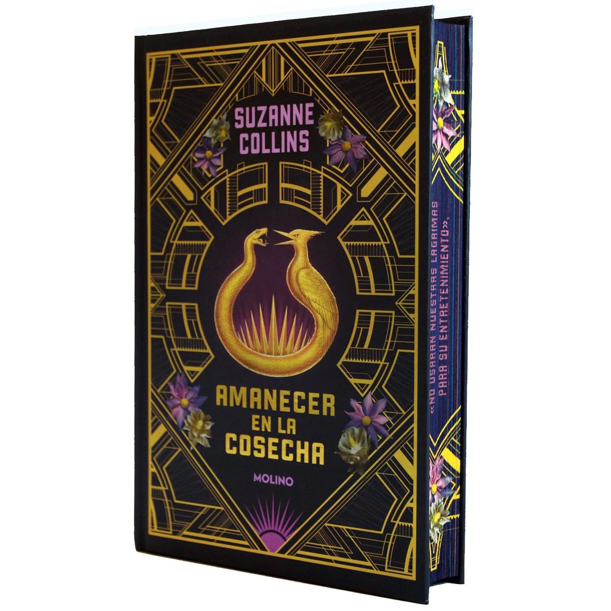 MOLINO - Amanecer en la cosecha - Suzanne Collins - Cantos Pintados