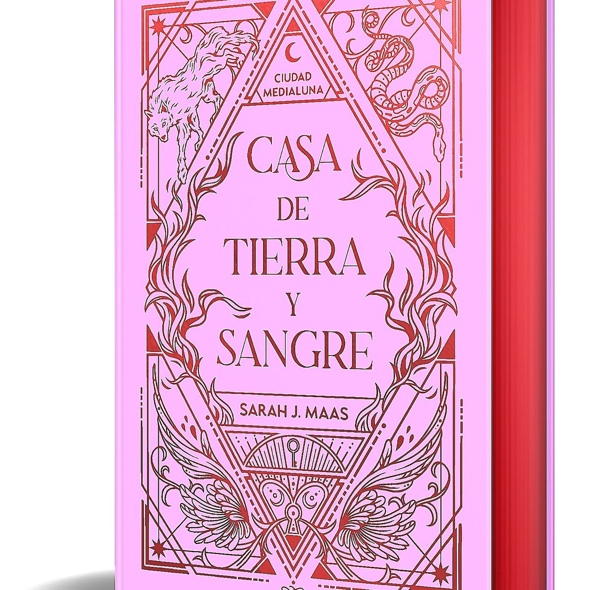 ALFAGUARA - Libro Casa de tierra y sangre (ed. limitada) - Sarah J. Maas