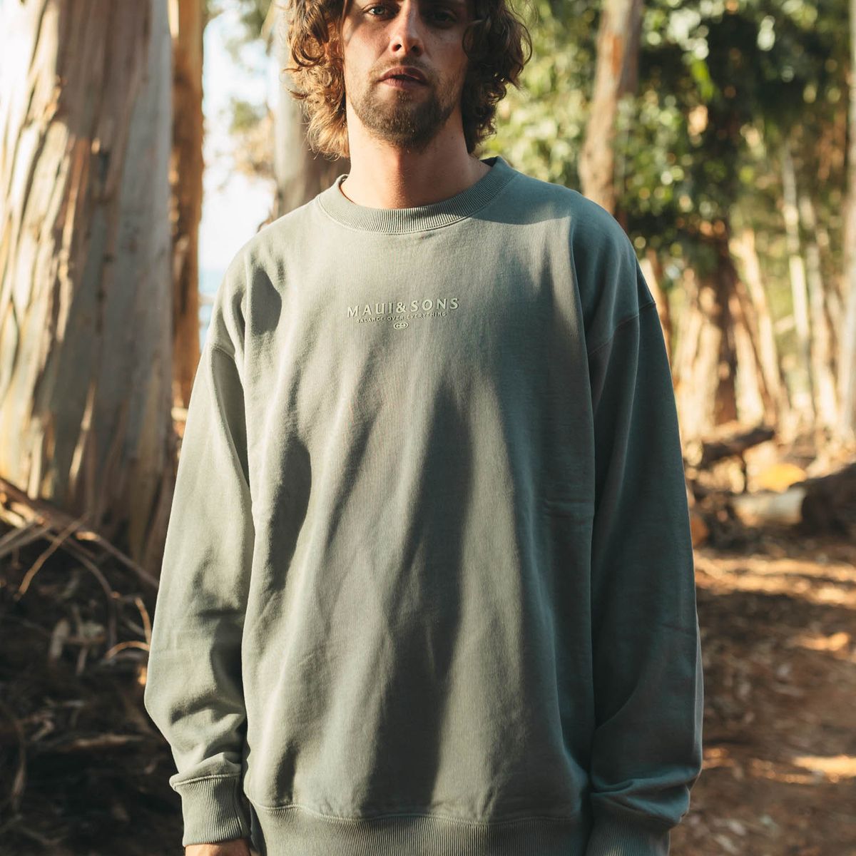 MAUI AND SONS - Poleron CR Balance Crew Verde Hombre Maui And Sons