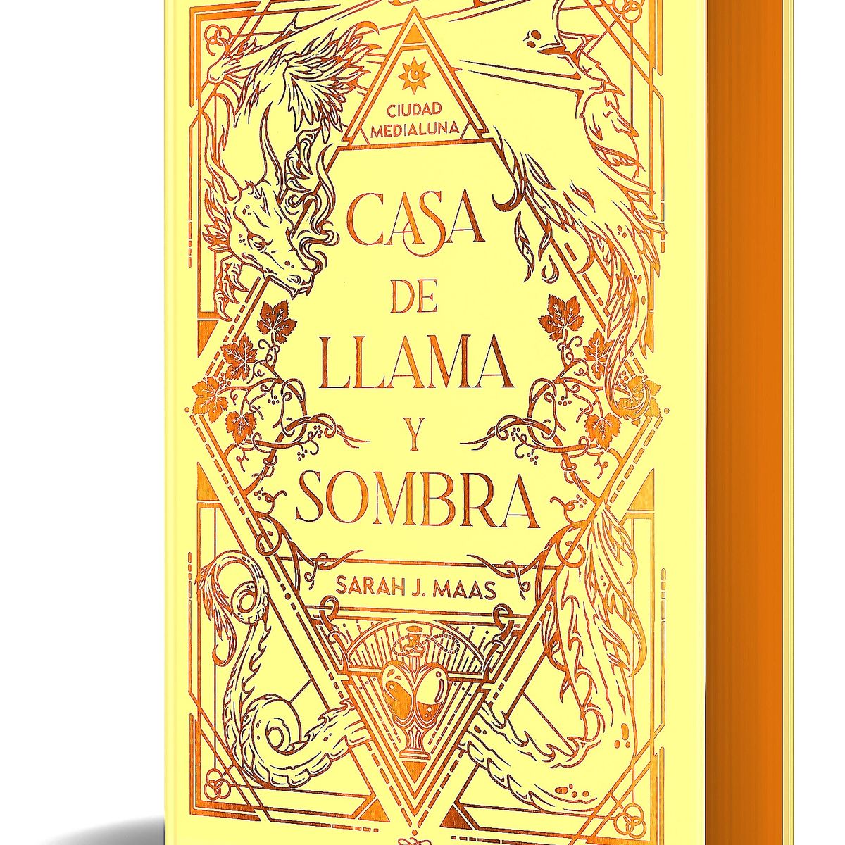 ALFAGUARA - Libro Casa de llama y sombra (ed limitada) - Sarah J. Maas