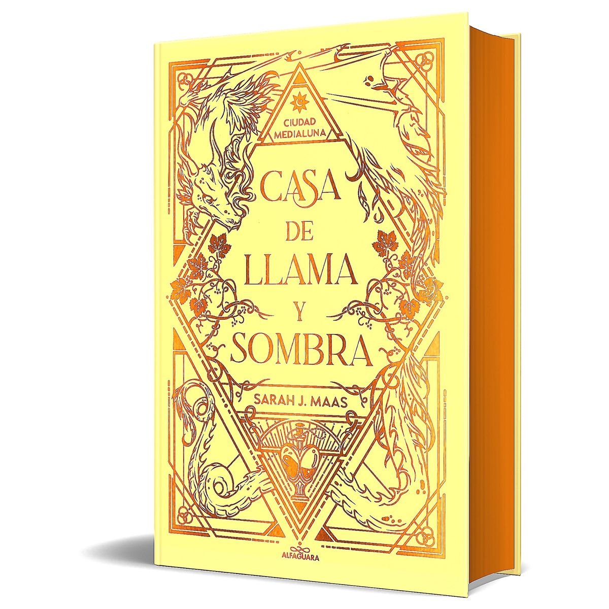 ALFAGUARA - Libro Casa de llama y sombra (ed limitada) - Sarah J. Maas