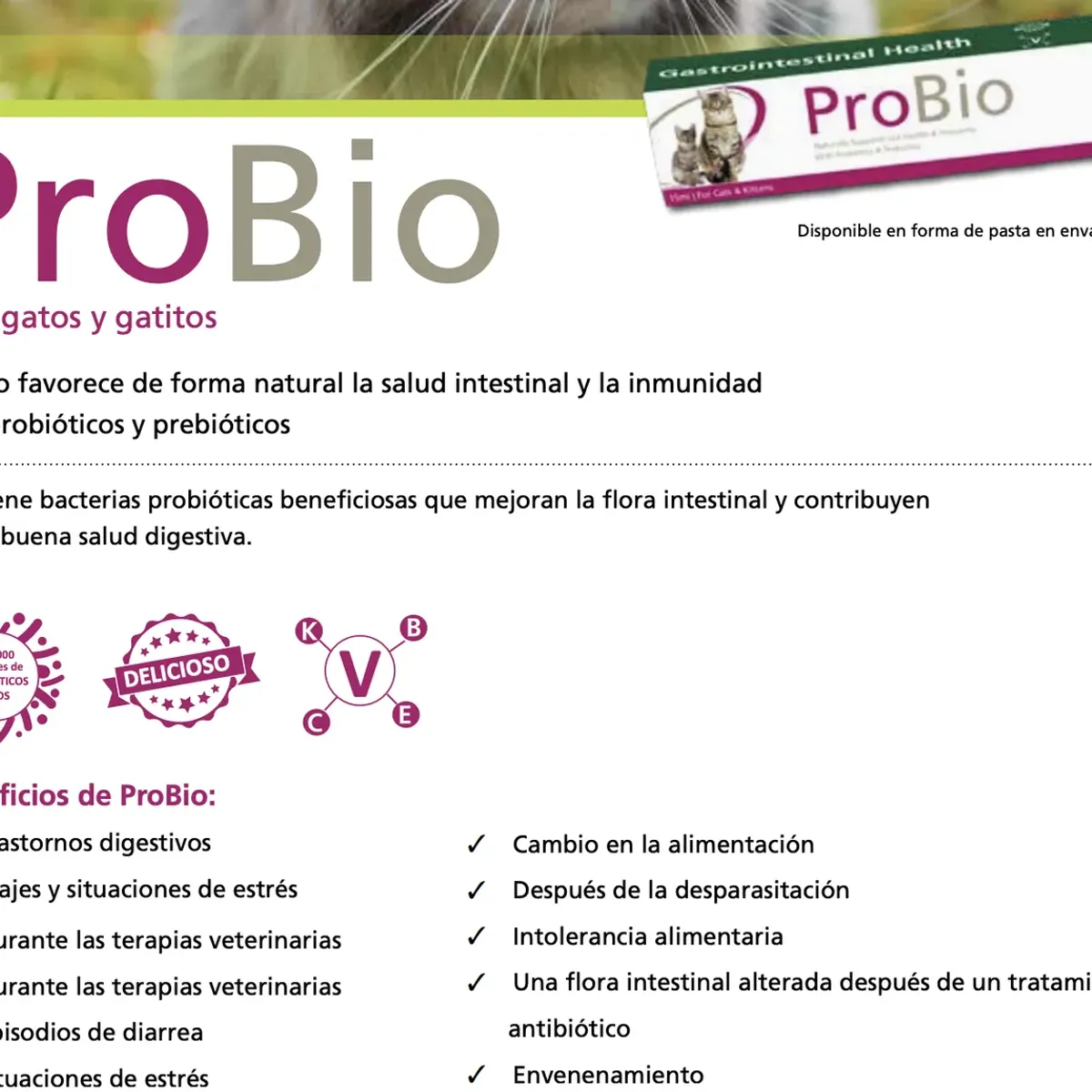 GENERICO - Probio 15ml Suplemento Gatos Intestinal Inmunológico