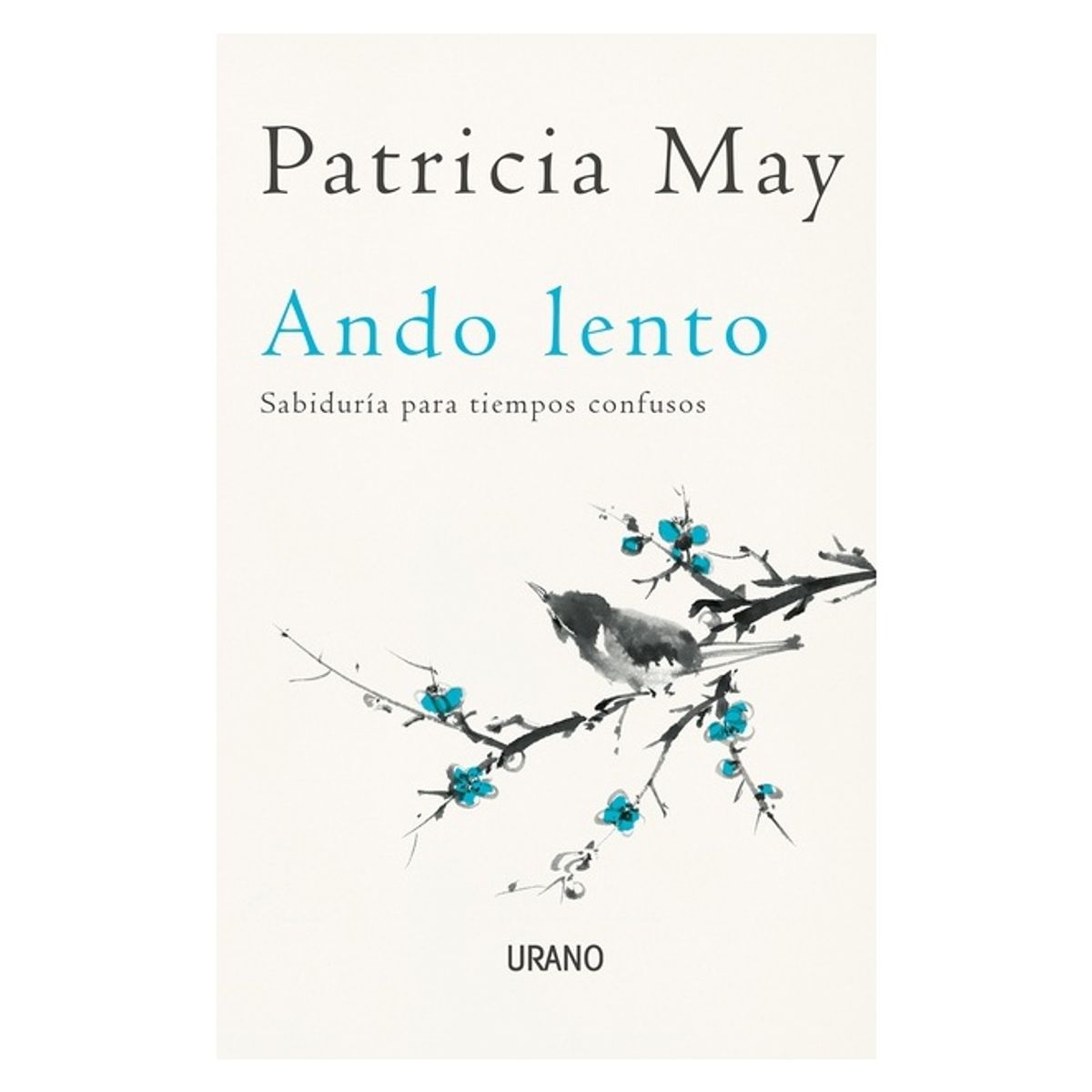 HITWAY MUSIC - ANDO LENTO TAPA BLANDA - PATRICIA MAY  - LIBRO