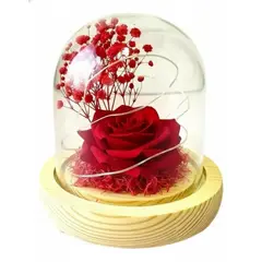 GENERICO - Rosa Eterna Artificial Luz Cálida Cúpula Vidrio Base