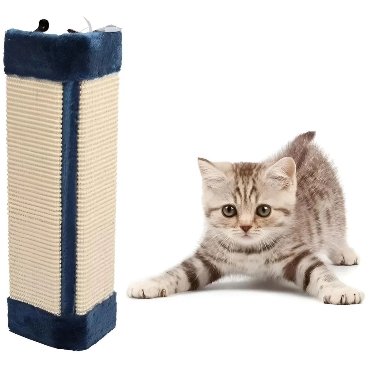 GENERICO - Rascador Esquinero Protector Sillones Para Gato Mascota - Azul