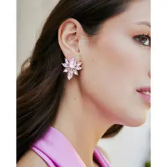 MI PLACARD - Aros Anahí Piedra Rosado