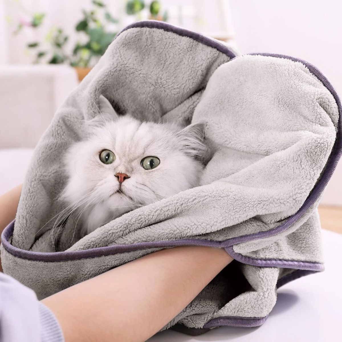 HOOPET - Toalla Guante Para Mascotas De Absorción Rápida