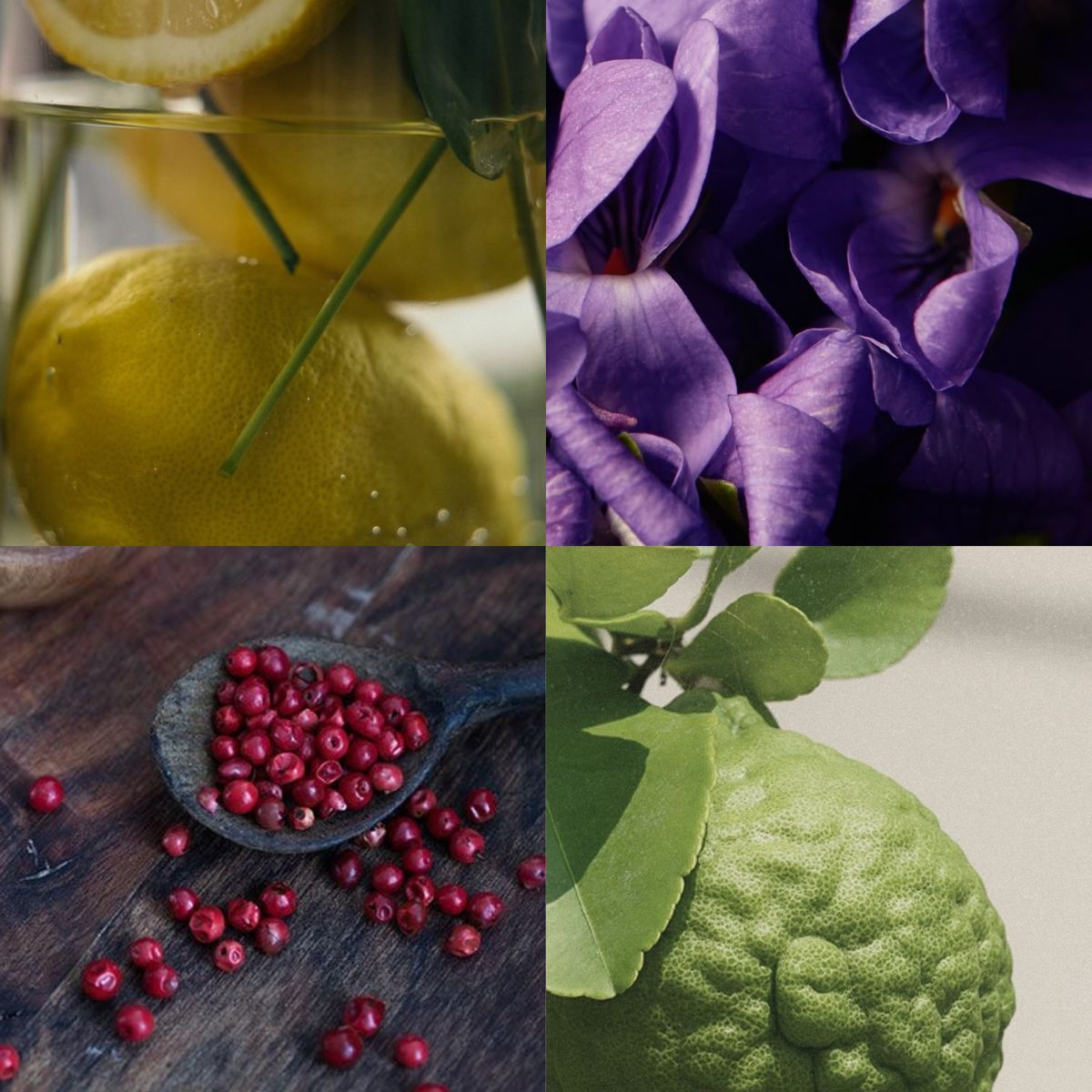 GENERICO - Esencias Bergamota Cítrica para Humificador 30ml