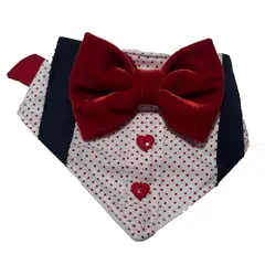 GENERICO - Bandana para perrito Edicion Mi único San Valentín Puntos rojos Corbata Talla S