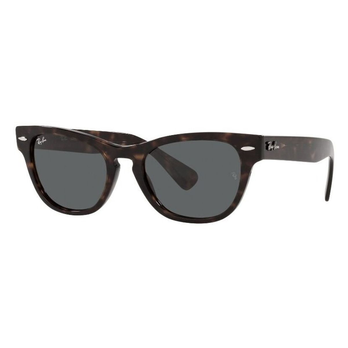 RAY BAN - Lentes De Sol Laramie Tortoise