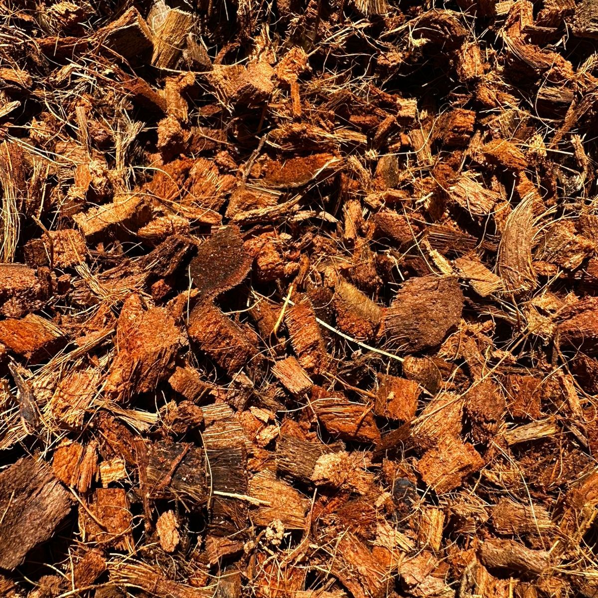 GENERICO - Fibra de Coco Chips 5 Litros