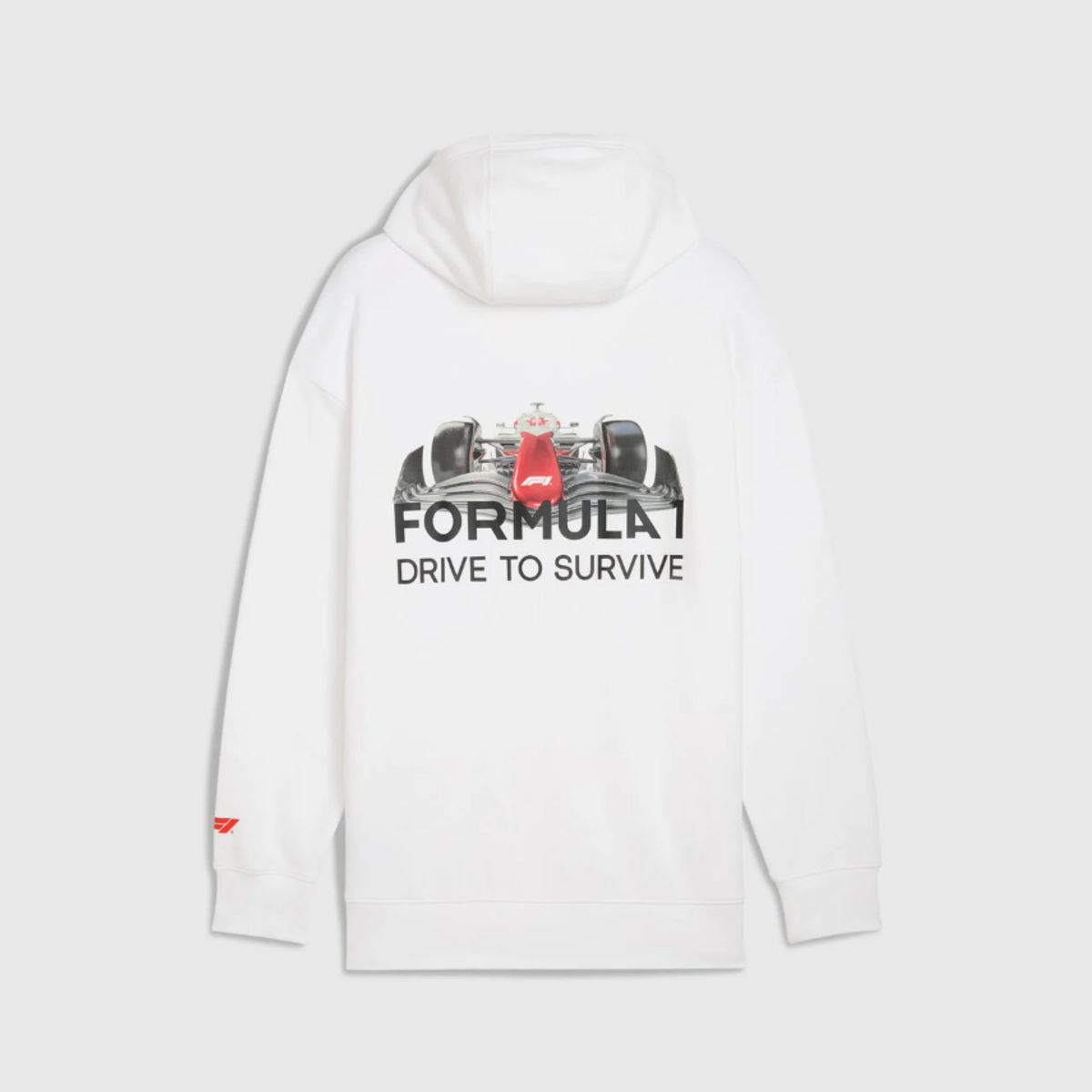 FORMULA 1 - F1ChileStore POLERÓN EDICIÓN ESPECIAL CON CAPUCHA F1