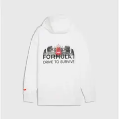 FORMULA 1 - F1ChileStore POLERÓN EDICIÓN ESPECIAL CON CAPUCHA F1