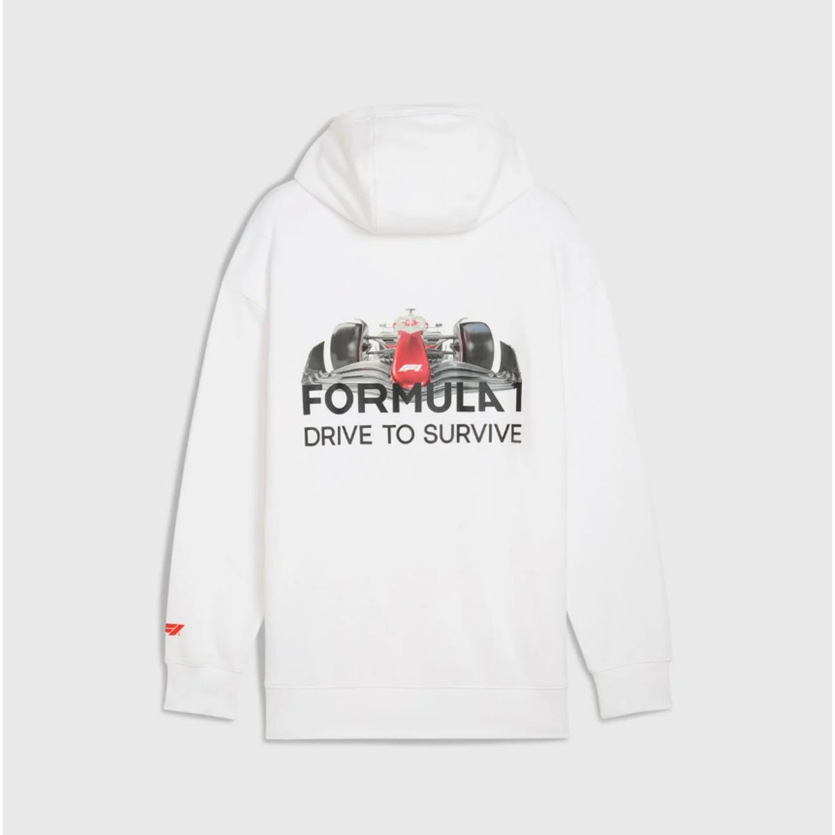 FORMULA 1 - F1ChileStore POLERÓN EDICIÓN ESPECIAL CON CAPUCHA F1