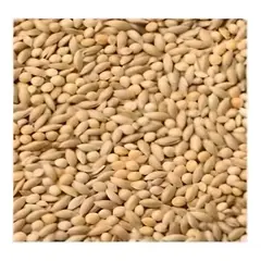 GENERICO - Mezcla Catas Catitas Aves Mixtura De Semillas Mp004  500gr