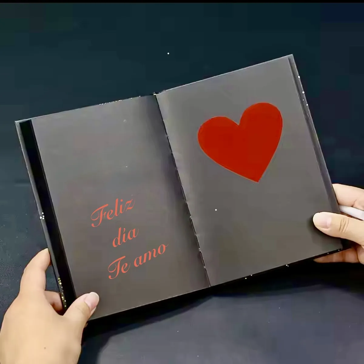 GENERICO - LIBRETA /CUADERNO CON TAPA DURA  ROSAS–  100% NEGRA + LAPICES