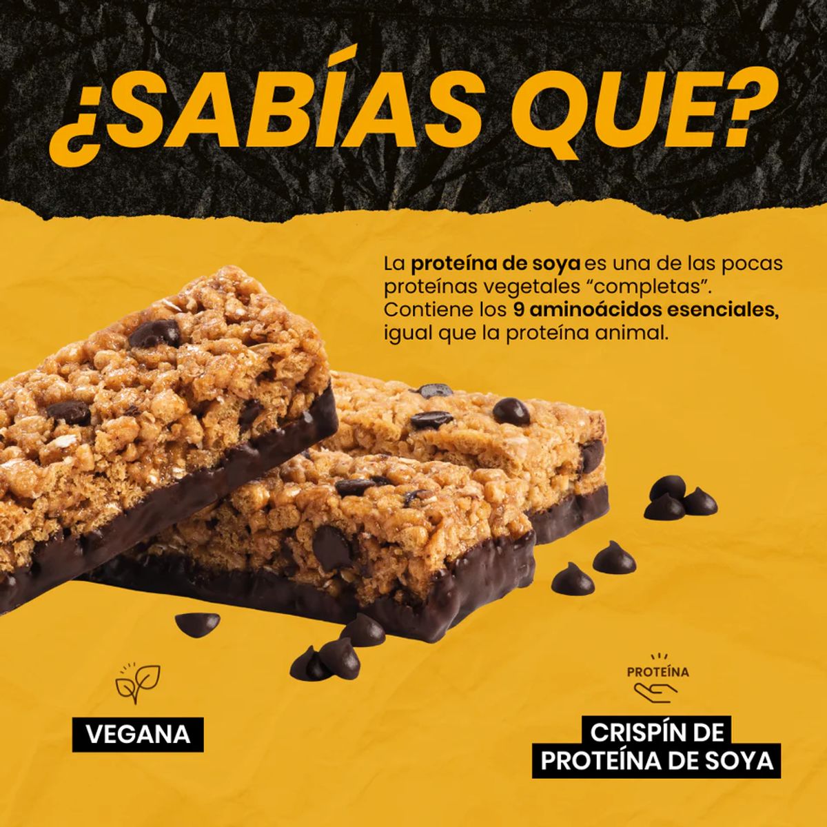 YOUR GOAL - Barra de proteina Wild Protein - Munchy Chocolate Mani 16 unidades