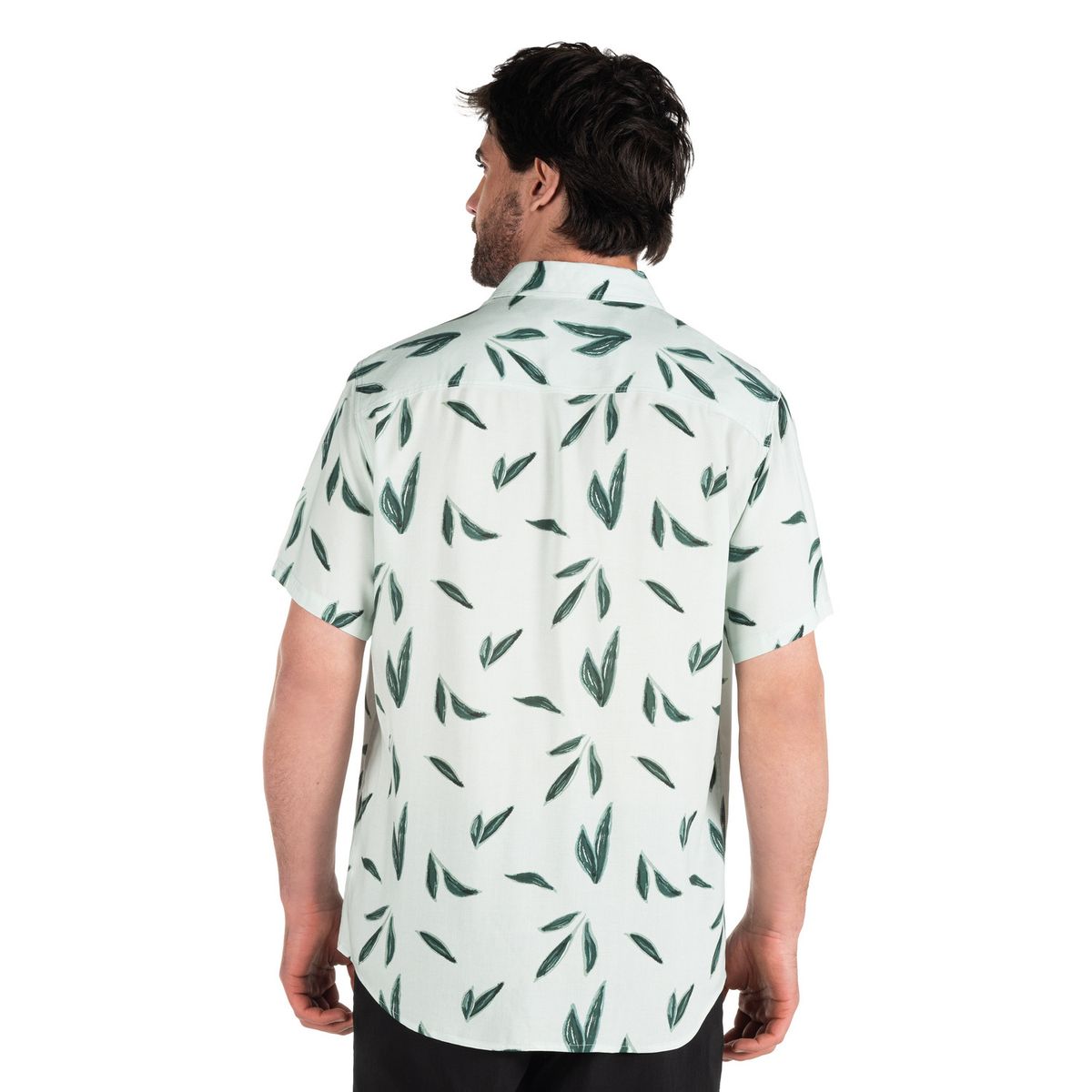 PANAMA JACK - Guayabera Hombre Casual Verde Panama Jack