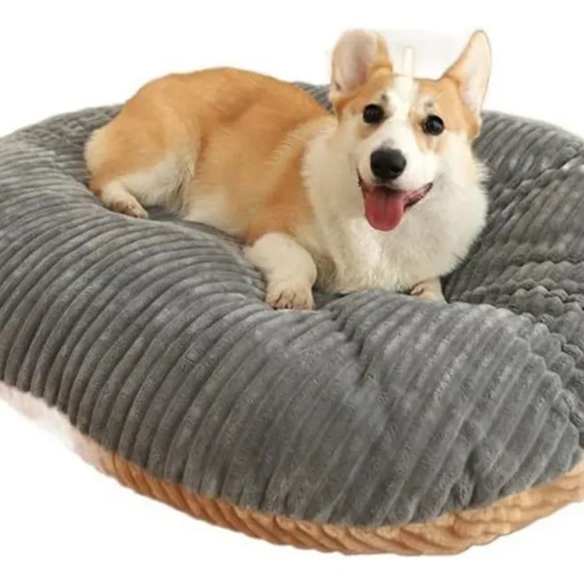 HOOPET - Cama Para Mascotas Desmontable Talla L Gris Liso