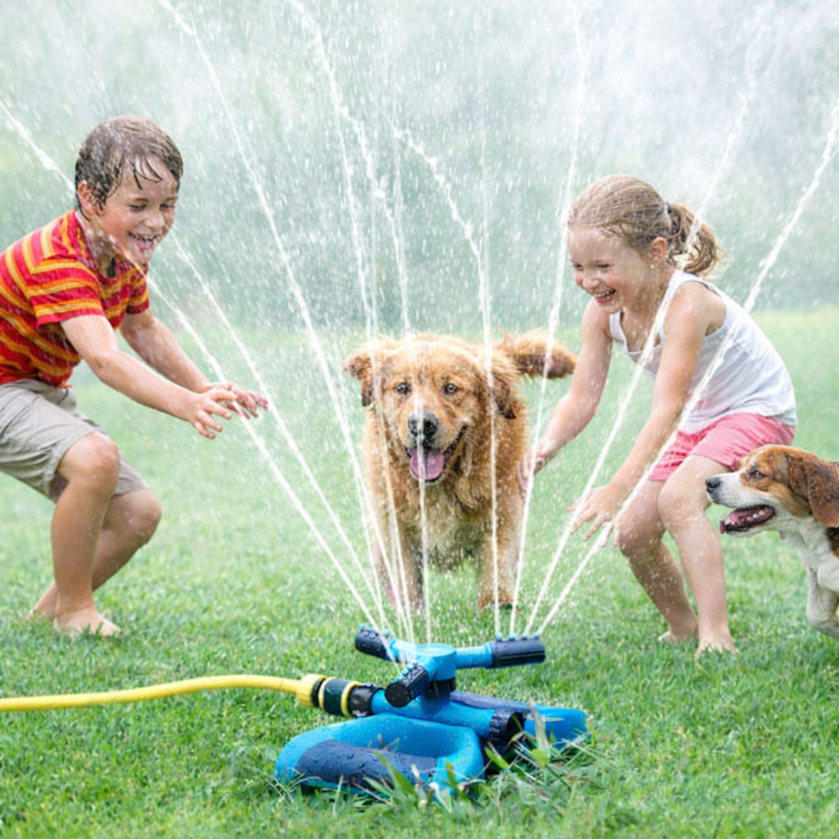 MOVI - Regador Giratorio 360° con Base y 3 Aspas para Jardín