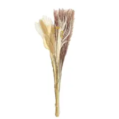 GENERICO - Ramo De Flores Secas Naturales Boho Mixtas