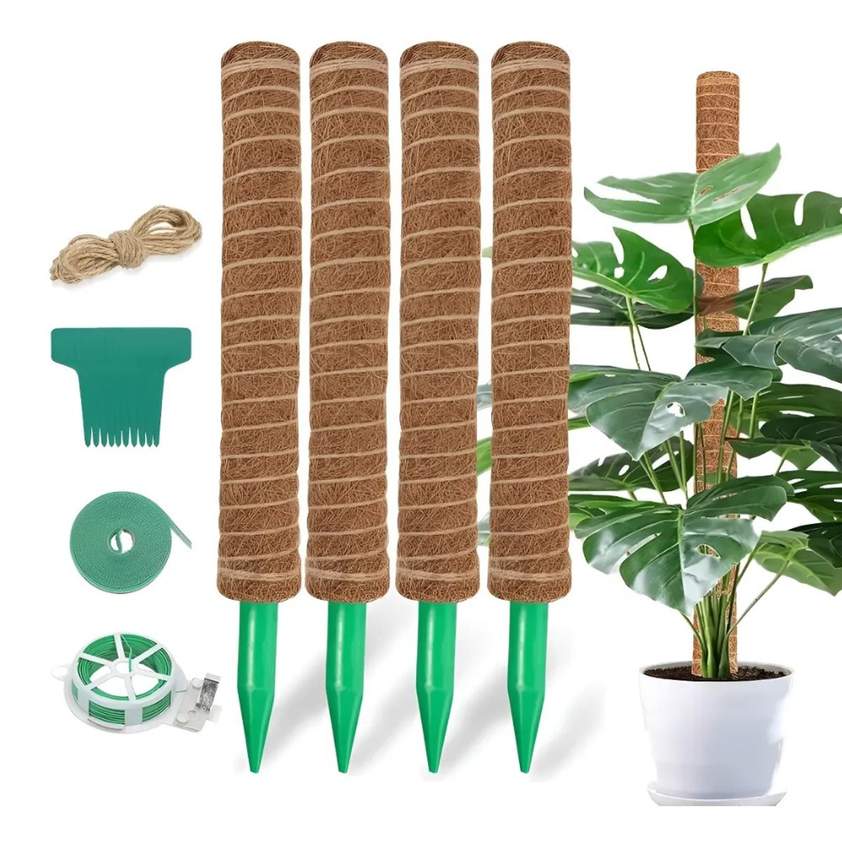 RIOVEO - Tutor De Musgo De Coco Soporte Para Plantas 4 Piezas 30cm