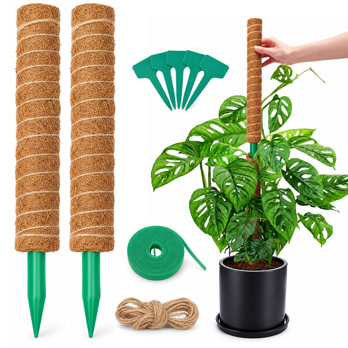 RIOVEO - Juego De 9 Tutor De Musgo Para Plantas 41 Cm / Moss Pole