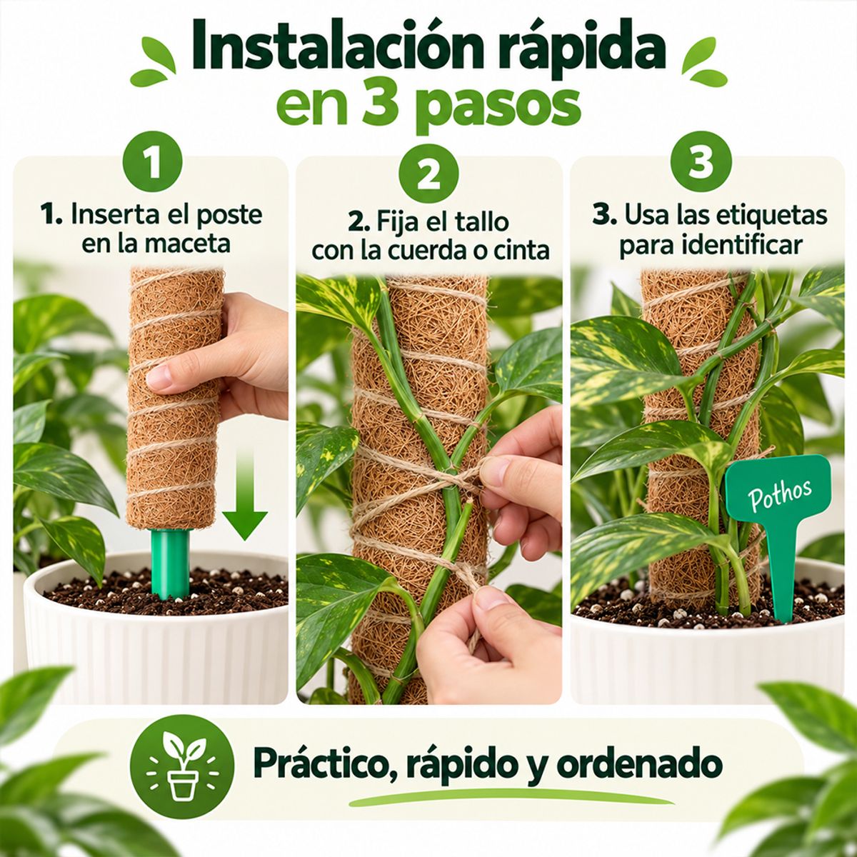 RIOVEO - Juego De 9 Tutor De Musgo Para Plantas 41 Cm / Moss Pole