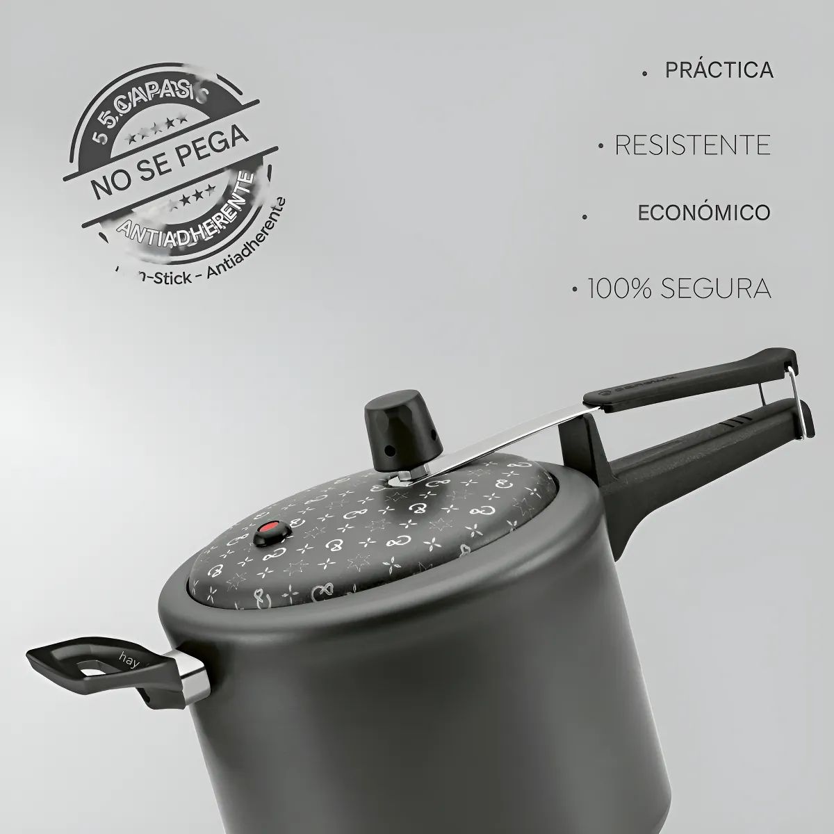  - Olla A Presion Panelux 4.5 Litros Antiadherente Grafito Negro