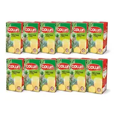 COLUN - Pack Jugo Tetrapack Piña 12 X 1 L