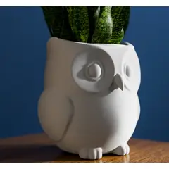 GENERICO - Macetero con forma de Búho