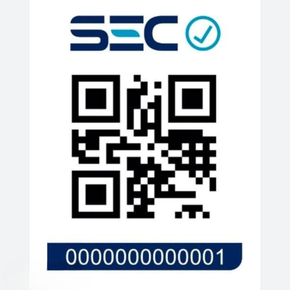 MOVI - CEPILLO ALISADOR Y SECADOR 3 EN 1 ANTI FRIZZ :CABELLO LISO Y BRILLANTE EN MINUTOS