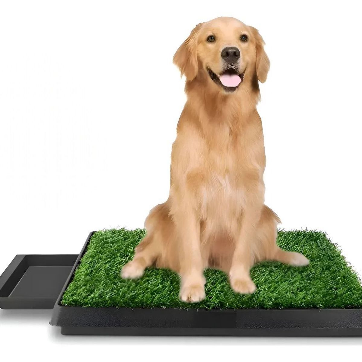 GENERICO - Baño Portátil Extraíble Con Césped Para Mascotas Perros