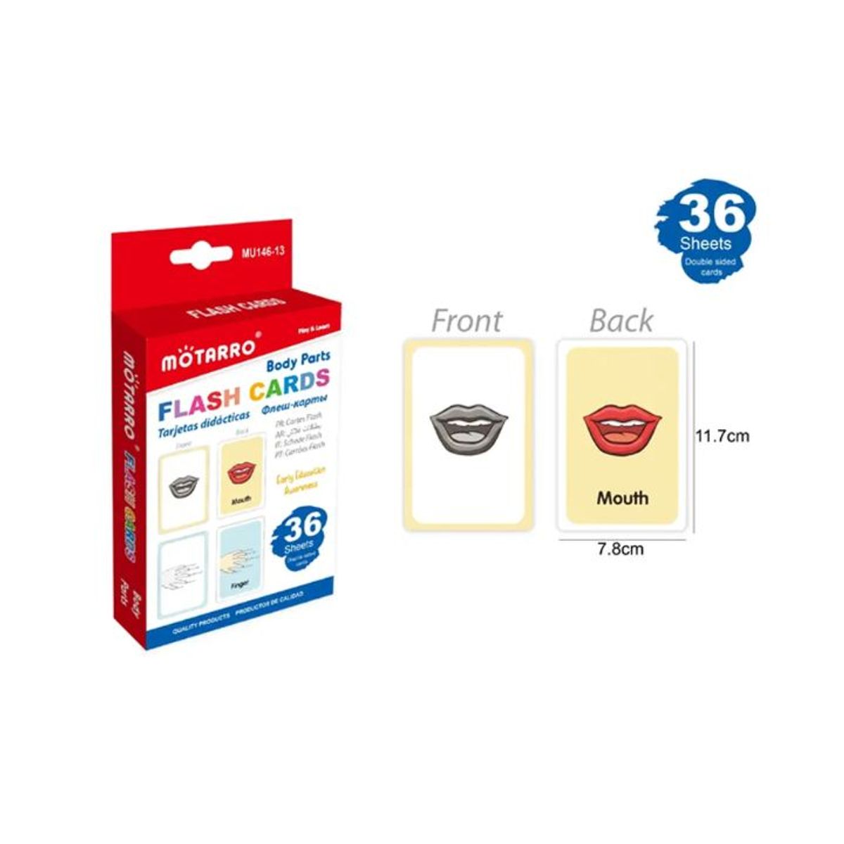 GENERICO - Tarjetas de Aprendizaje Cuerpo Humano 117x78cm 36pcs