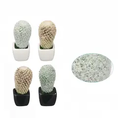 POLASUP - Set de 4 Cactus Artificiales Decorativos en Macetas Blancas y Negras