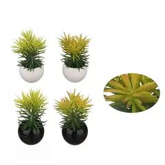 POLASUP - 4 Mini Plantas Sin Cuidado en Macetas, Belleza Duradera